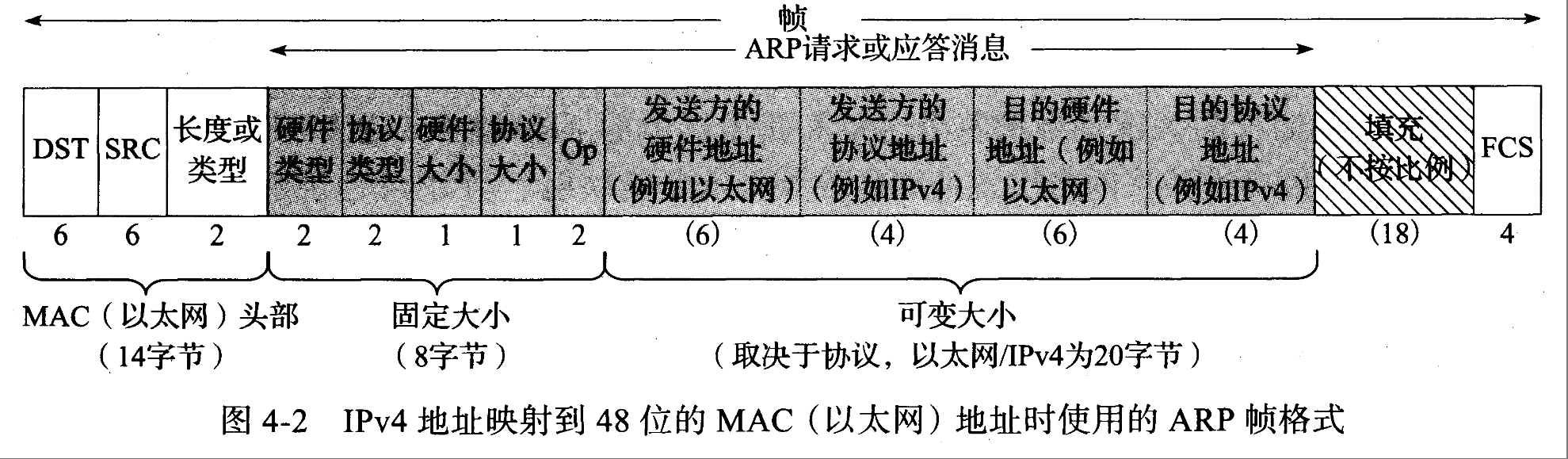 ARP帧(Ethernet II头部)